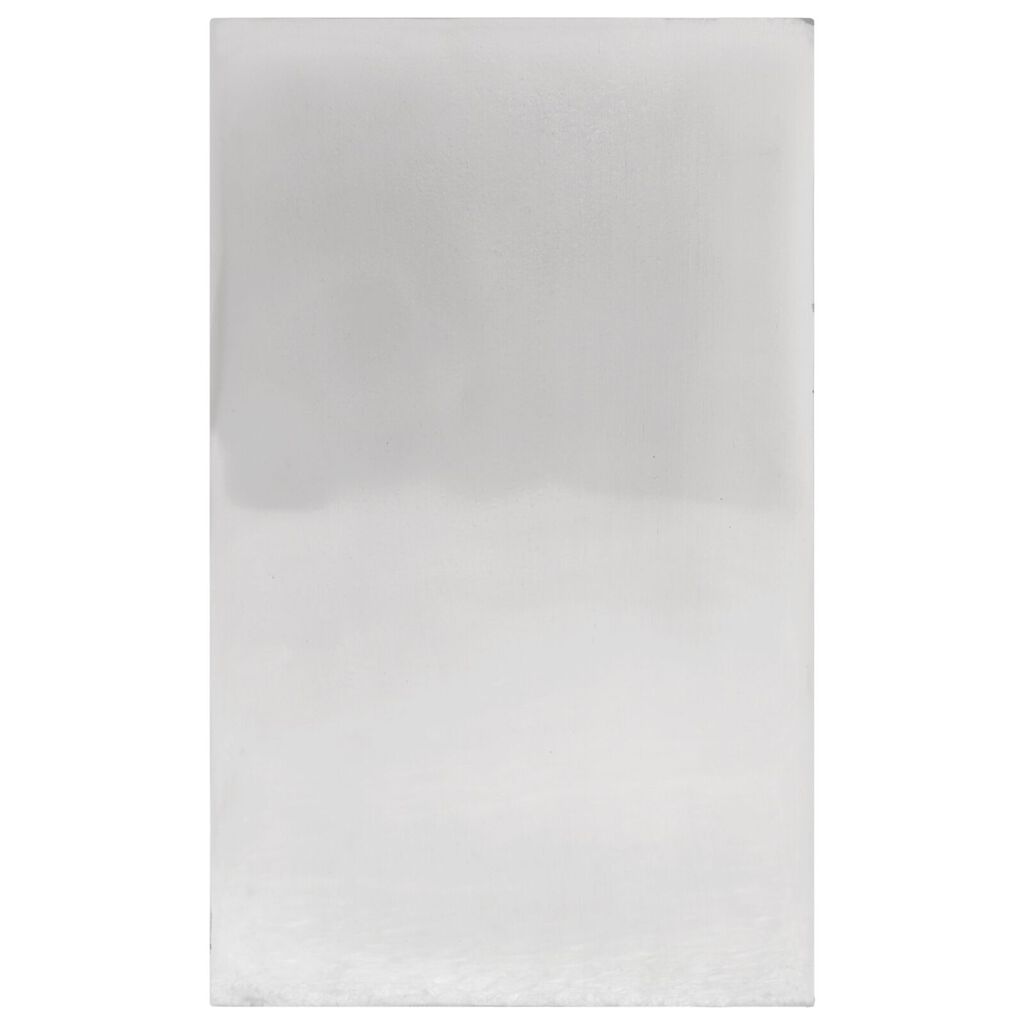 vidaXL Knygų atramos 2 vnt Sidabrinė 11x14x25 cm Aliuminis Arklys